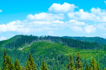 art landscape in the mountains against background of wildlife in the Carpathian National Park, Europe. Beauty world.