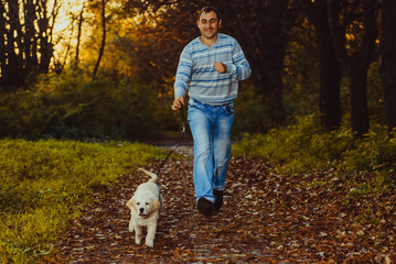 Golden retriever dog with owner