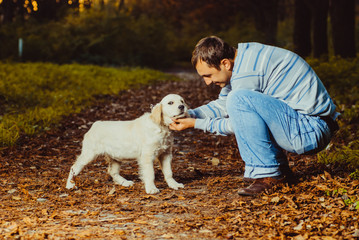 puppy with man are walking in the park