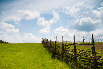 Fototapeta na wymiar Rural summer landscape