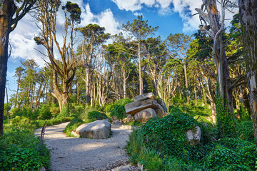 National natural park in Sintra, Portugal. Walking tracking path - obrazy, fototapety, plakaty