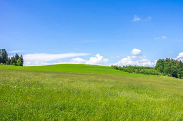 Allgau Landscape near Lindau, Bavaria, Germany