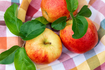 Red and yellow ripe apples Gala sort on the kitchen towel