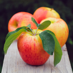 Red and yellow ripe apples Gala sort on wooden background