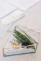 Wedding rings in the glass triangle box with white sand decorated with the pine tree on table