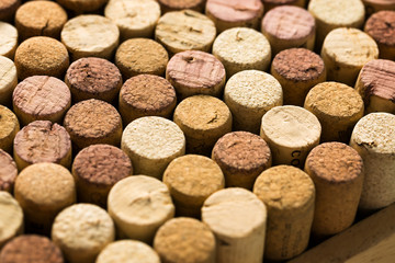 Wine bottle corks stopper closeup, top view