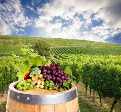 Red wine with barrel on vineyard in green Tuscany, Italy