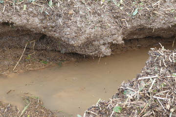 Liegengebliebene Hagelkörner