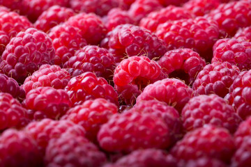 Ripe raspberry background