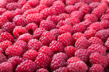 Ripe raspberry background