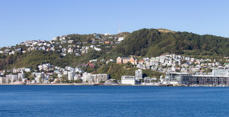 Fototapeta na wymiar Landscape view of Wellington City, New Zealand, along Oriental Parade below Mount Victoria.