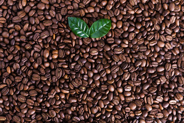 Coffee beans background