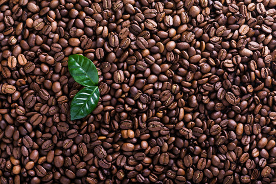 Coffee beans background