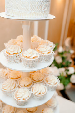 wedding cakes. pink beautiful cake. capkake on two tiers. against the background of fresh flowers, beautiful bouquets.