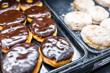 White powdered sugar filled chocolate brown many donuts closeup on bakery tray, deep fried vanilla, delicious tasty