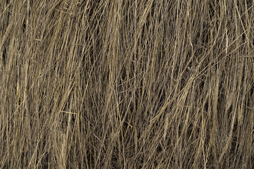Hay seamless background