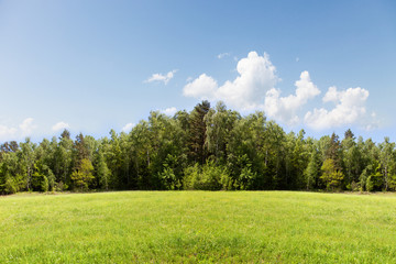 Meadow, forest and sky.