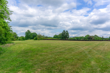Beautiful Grassy Fields and Trees in the Distance