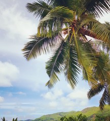Fototapeta premium Seychelles 01