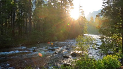 Beautiful morning shot of the Merced River in Yosemite. - Powered by Adobe