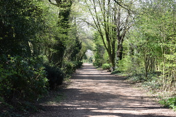 jardin des plantes de lille 