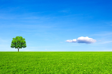 Fototapeta na wymiar Meadow, tree and sky. Natural concept