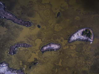 Flock of birds , Aerial View
