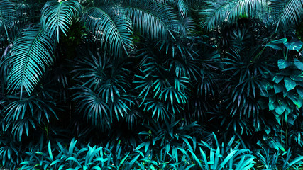 Obrazy na Szkle  tropikalne świecące liście.