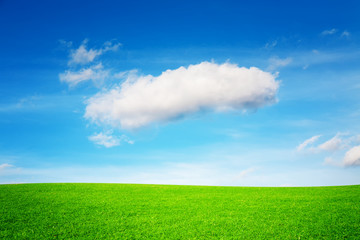 A large ideal cloud above a beautiful, unique meadow with sunshine