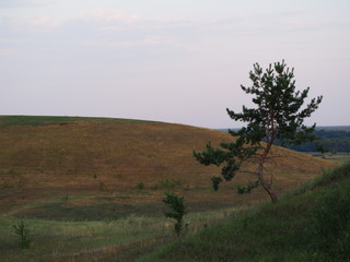 Obraz premium OLYMPUS DIGITAL CAMERA