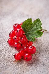 Ripe red currant berries and leaves