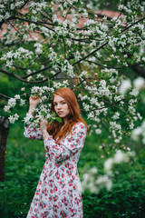 Fototapeta na wymiar Beautiful red-haired girl in a white dress among blossoming apple-trees in the garden.