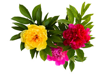 Obraz na płótnie Canvas Bouquet of multicolored peonies, top view, isolated on a white background