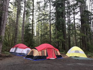 Tent on the green grass yard.
