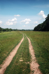road, field, forest and cloudy sky in summer time