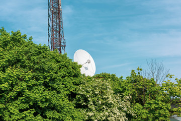 Big sattelite dish and tower in the middle of the forest, establishing good connection outside the...