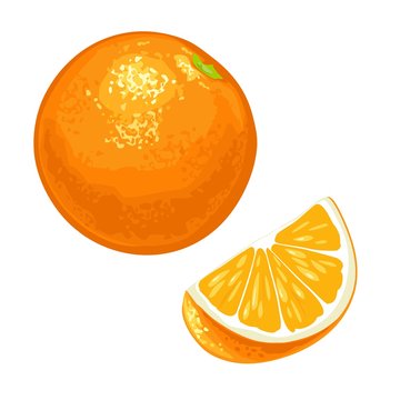 Whole and slice orange. Vector color flat vintage