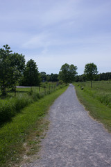 Walking though the Park