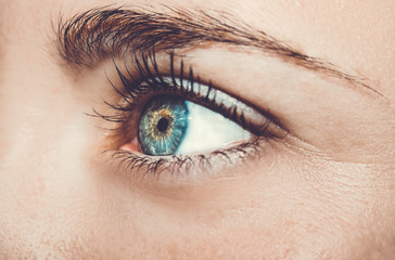 Obraz premium A beautiful insightful look eye. Close up shot.