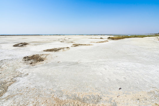 รูปภาพIodic – เลือกดูภาพถ่ายสต็อก เวกเตอร์ และวิดีโอ97 | Adobe Stock