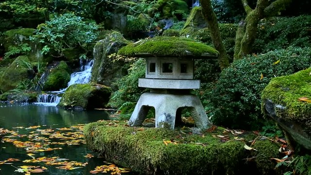 Outstanding Autumn View of Colorful Trees and Leaves in Beautiful Japanese Garden in Portland Oregon USA, waterfall 