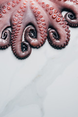 top view of tentacles of big fresh octopus on marble surface