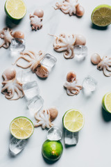 top view of small octopuses with limes and ice cubes on light marble surface