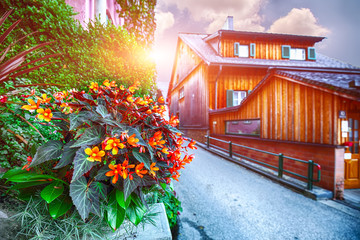 Fototapeta premium Scenic view of famous Hallstatt viilage. Typical Austrian Alpine houses with bright flowers