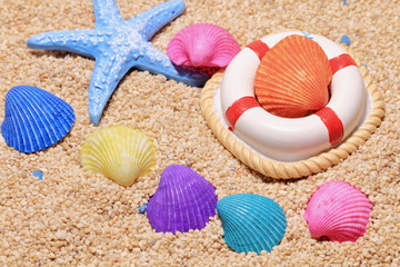 Fototapeta na wymiar 砂浜とカラフルな貝殻