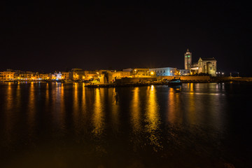 Fototapeta na wymiar Scenic view of Trani Cathedral and port at night, Apulia, Italy