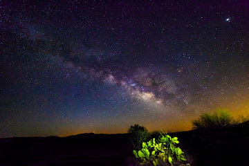 Milky Way and Cactus