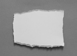 torn paper texture