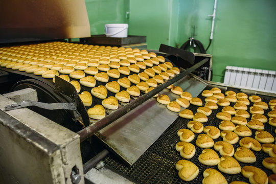 Pastry on conveyor line, food production factory or plant with machinery. Making cookies process