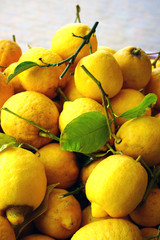 Fresh lemon in bulk at the farmers market